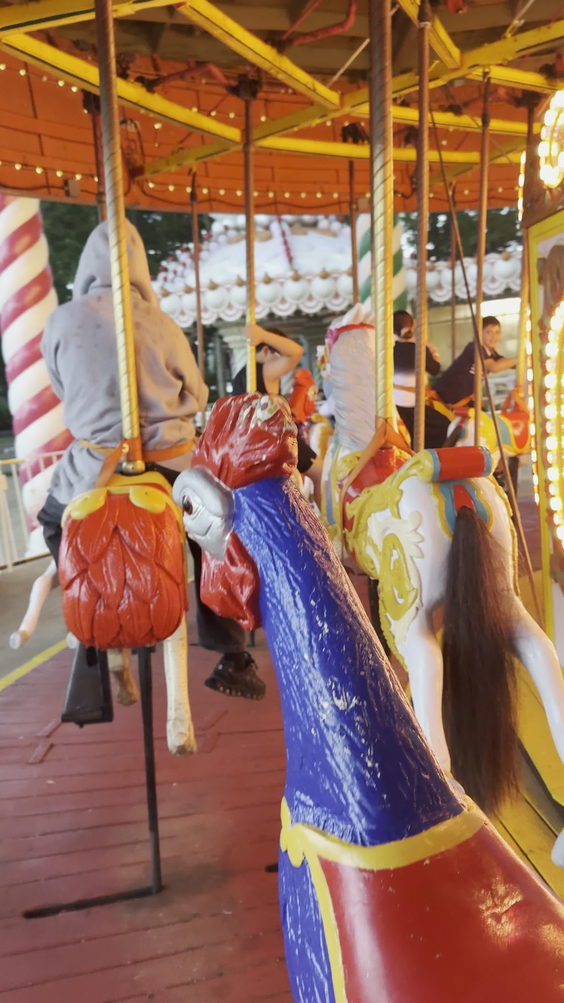 Six Flags Carousel