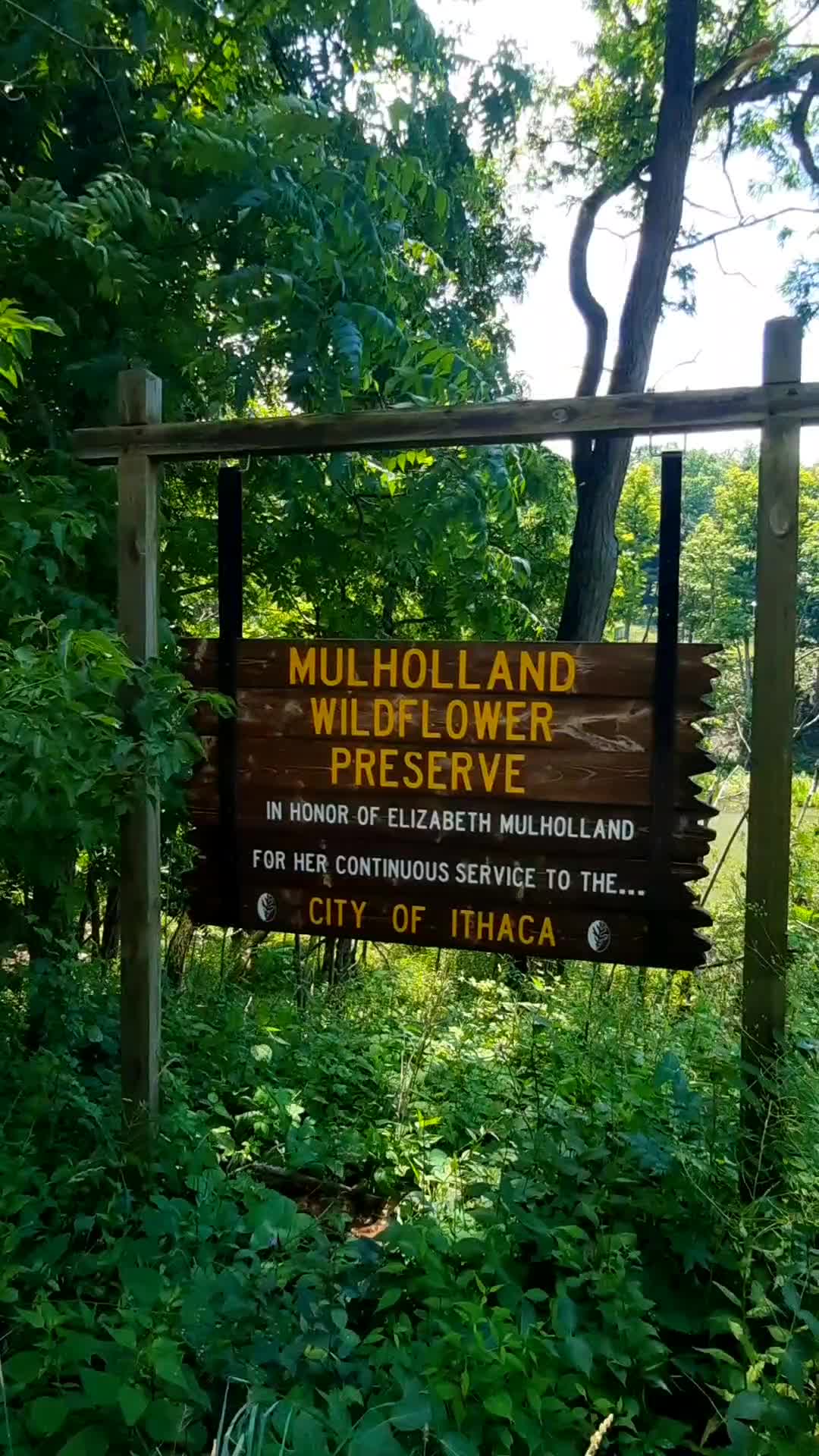 Mulholland Wildflower Preserve