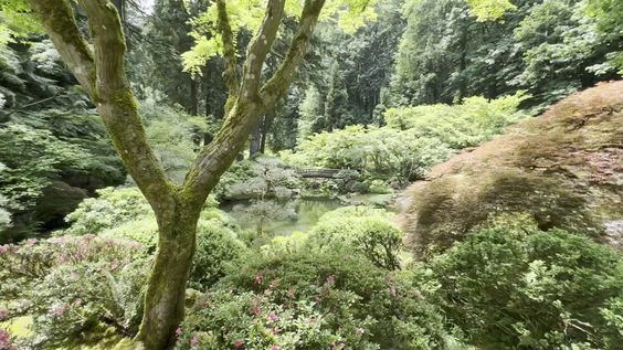 Portland Japanese Garden