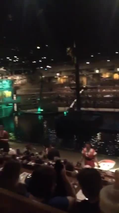 Pirates Voyage Dinner & Show