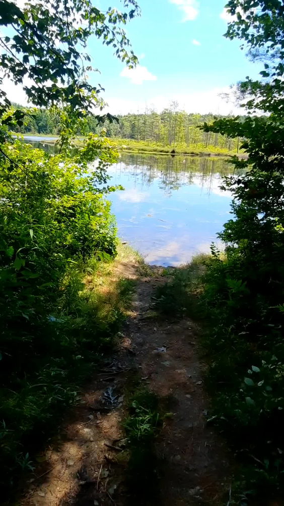 Oakley Corners State Forest