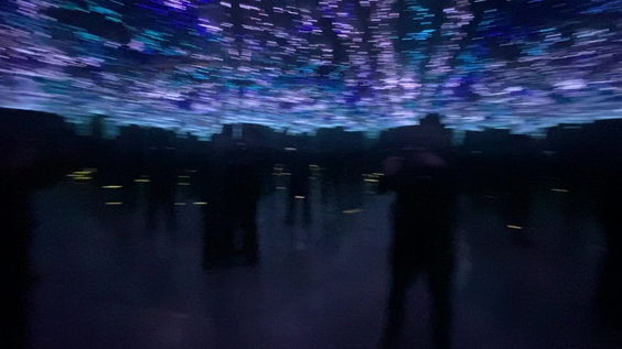 Museum Of Illusions