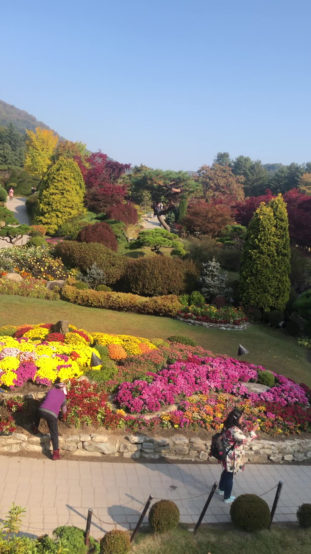 아침고요수목원 (The Garden of Morning Calm)