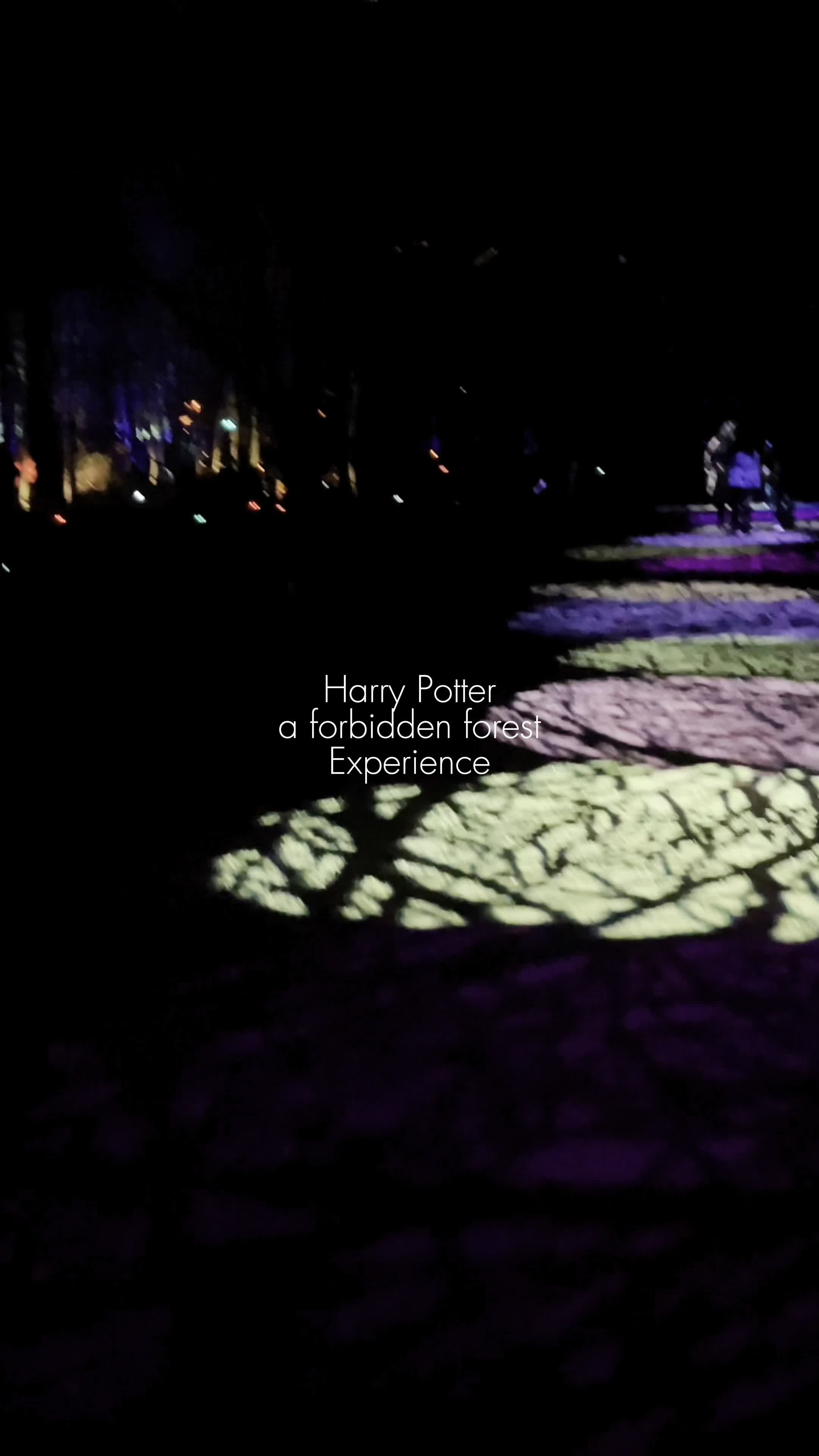 Harry potter a forbidden forest experience