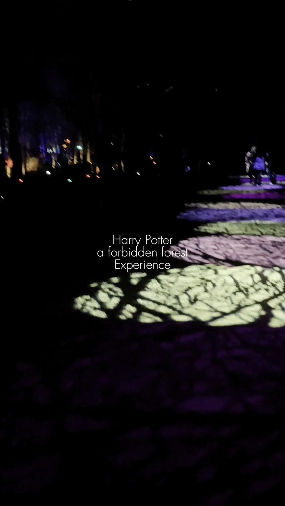 Harry potter a forbidden forest experience