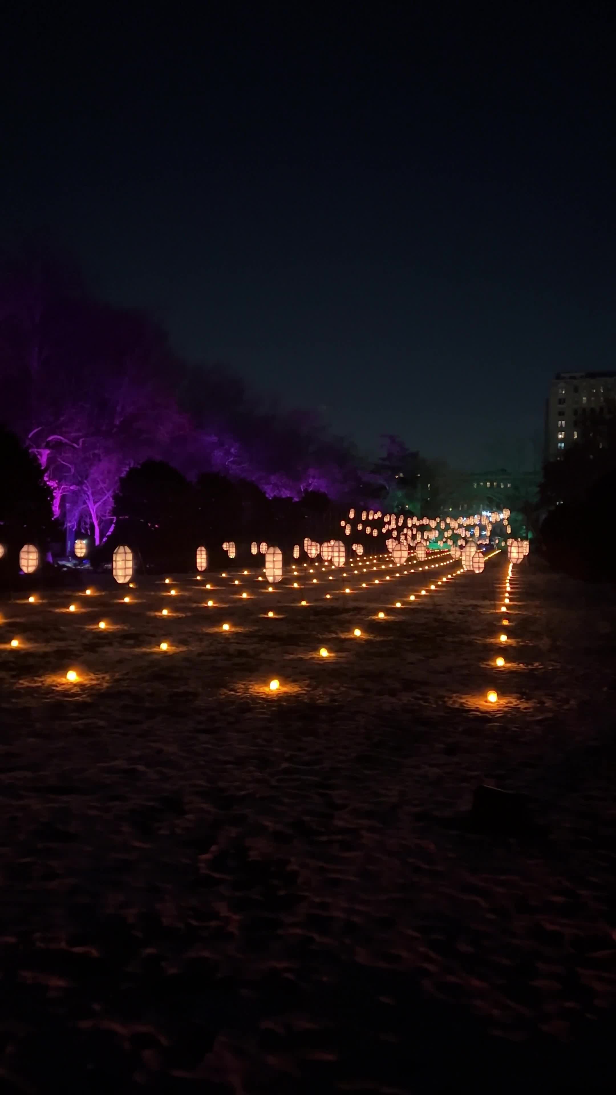 Video review of Brooklyn Botanic Garden