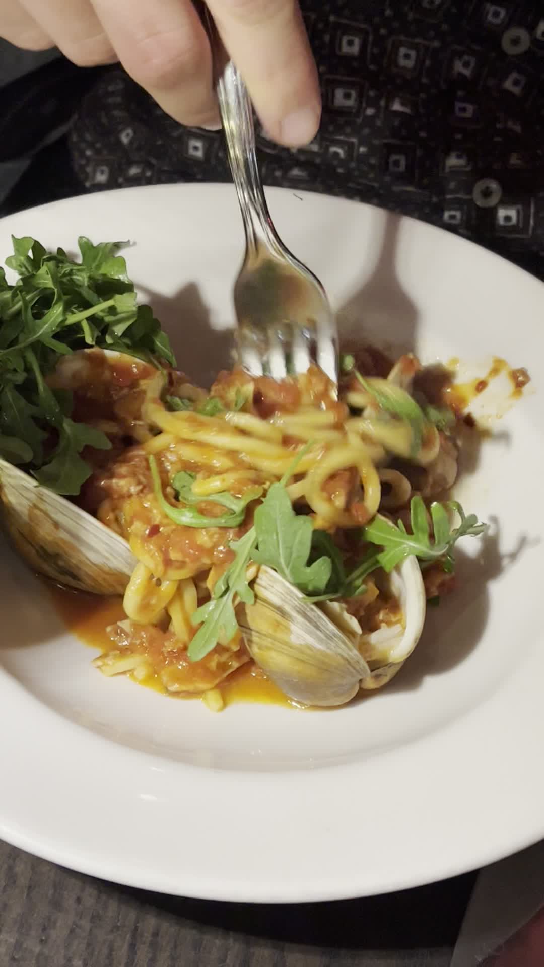 Video review of The Clam