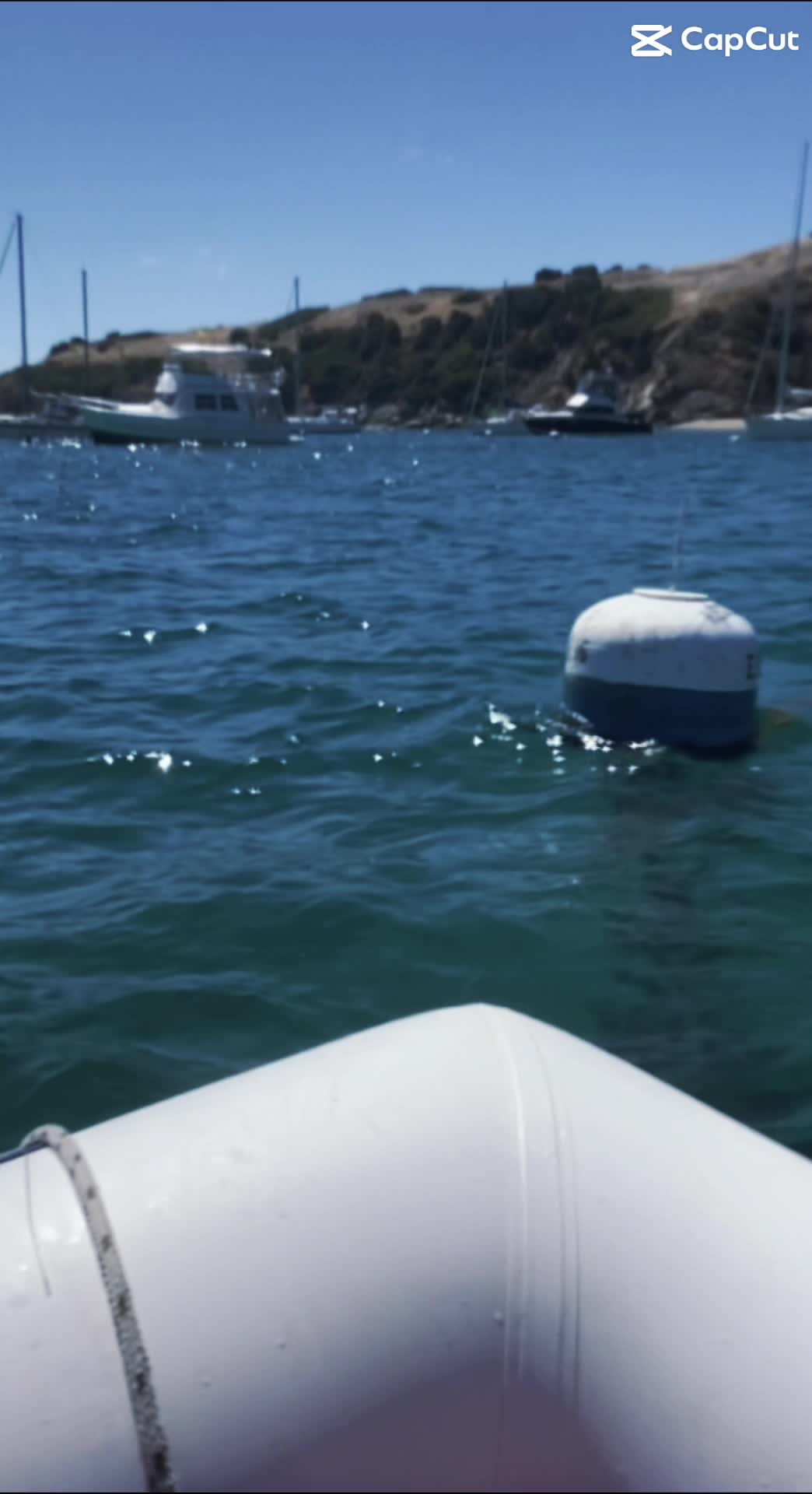 Video review of Harbor Reef Restaurant