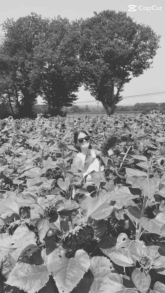 Buttonwood Farm Ice Cream
