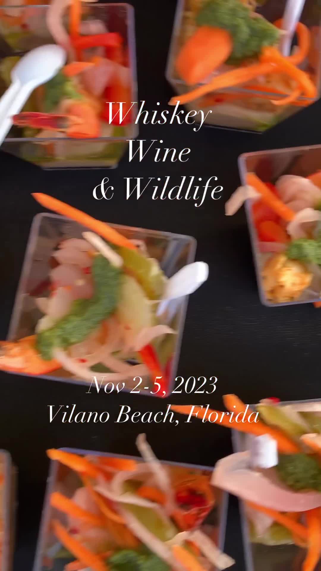 Vilano Beach
