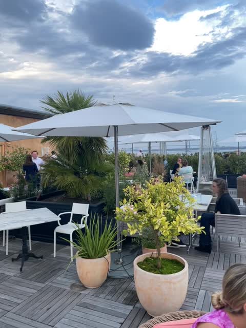 Citrus Club