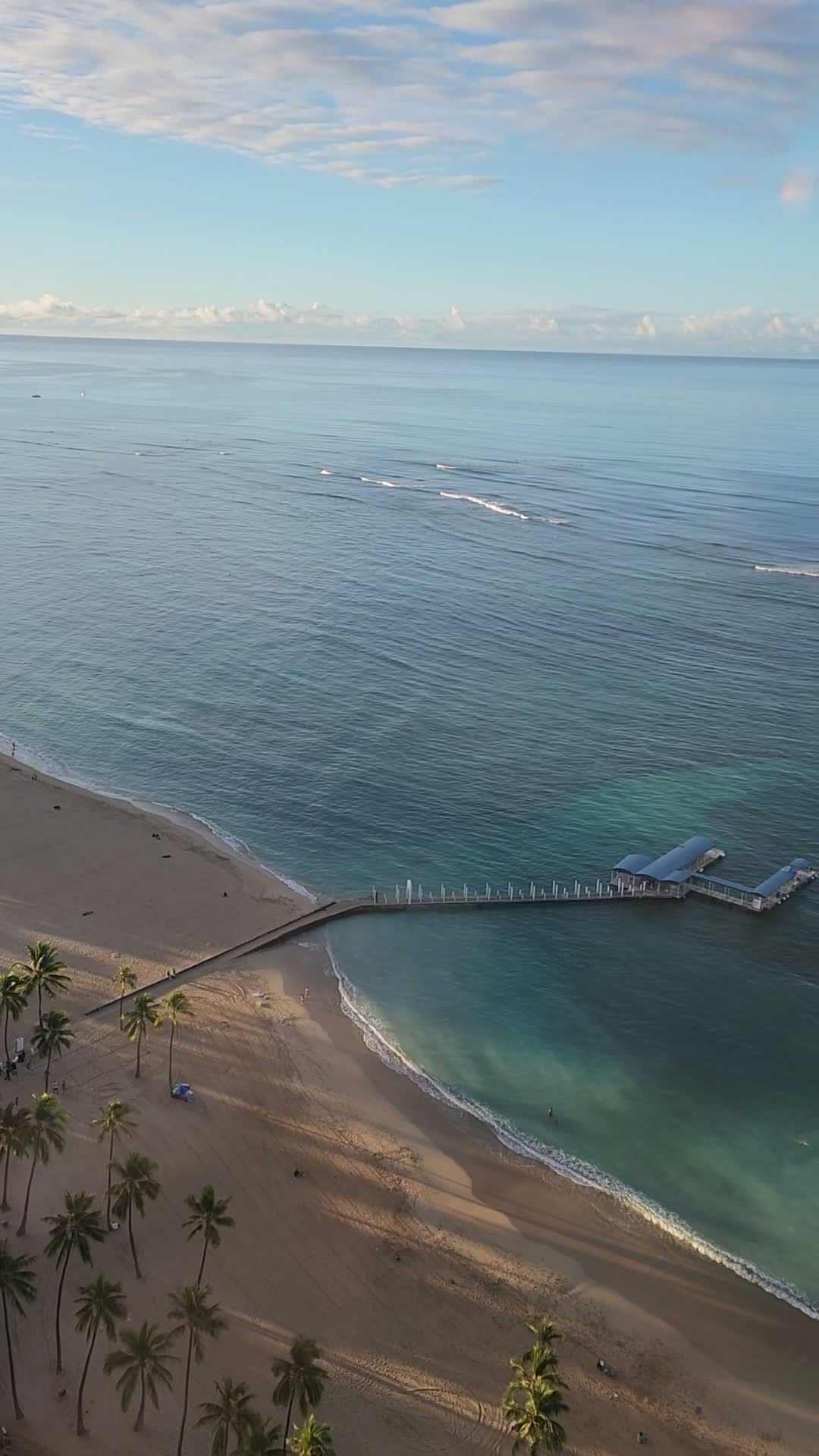Video review of Hilton Waikiki Beach Resort & Spa