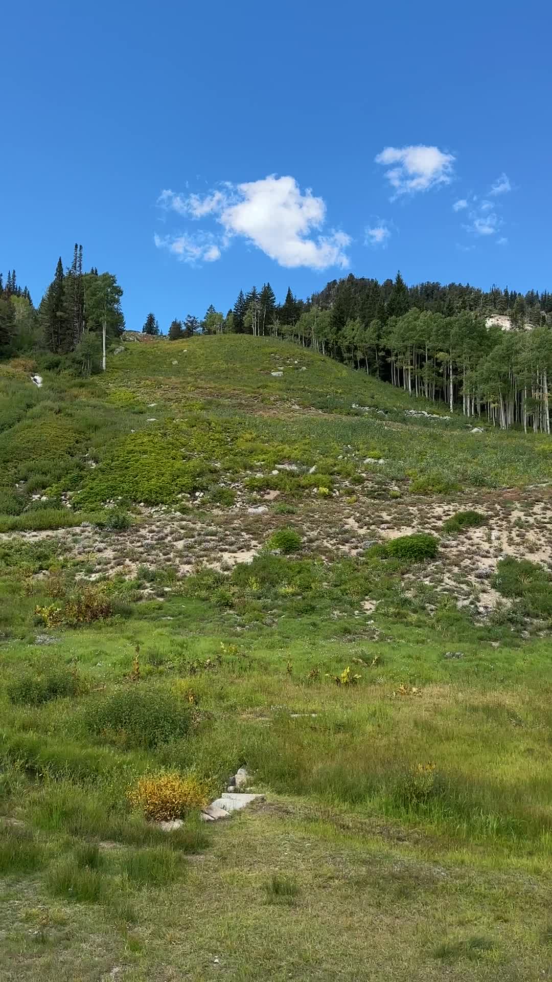 Video review of Brighton Ski Resort