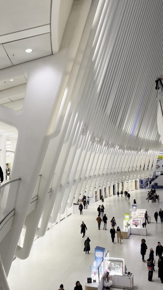 The Oculus