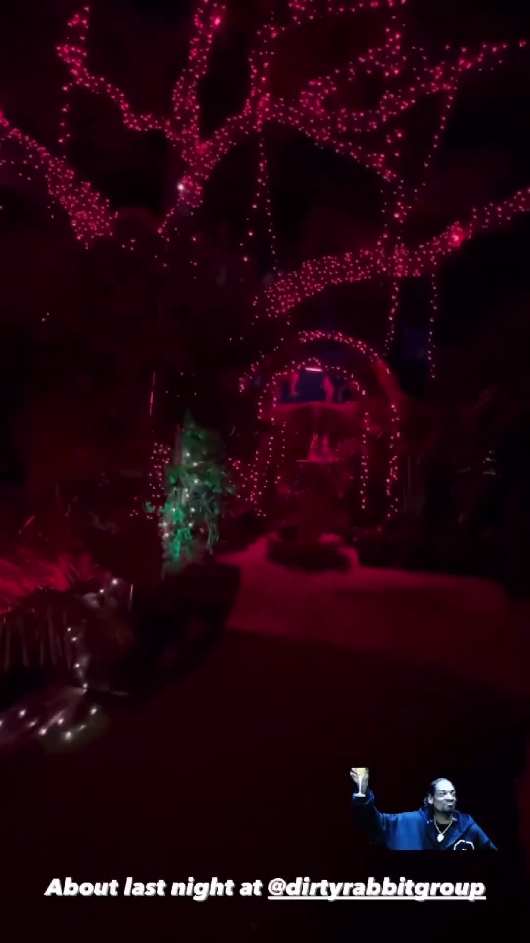 The Dirty Rabbit Wynwood