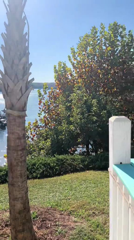 Toucans Lakefront