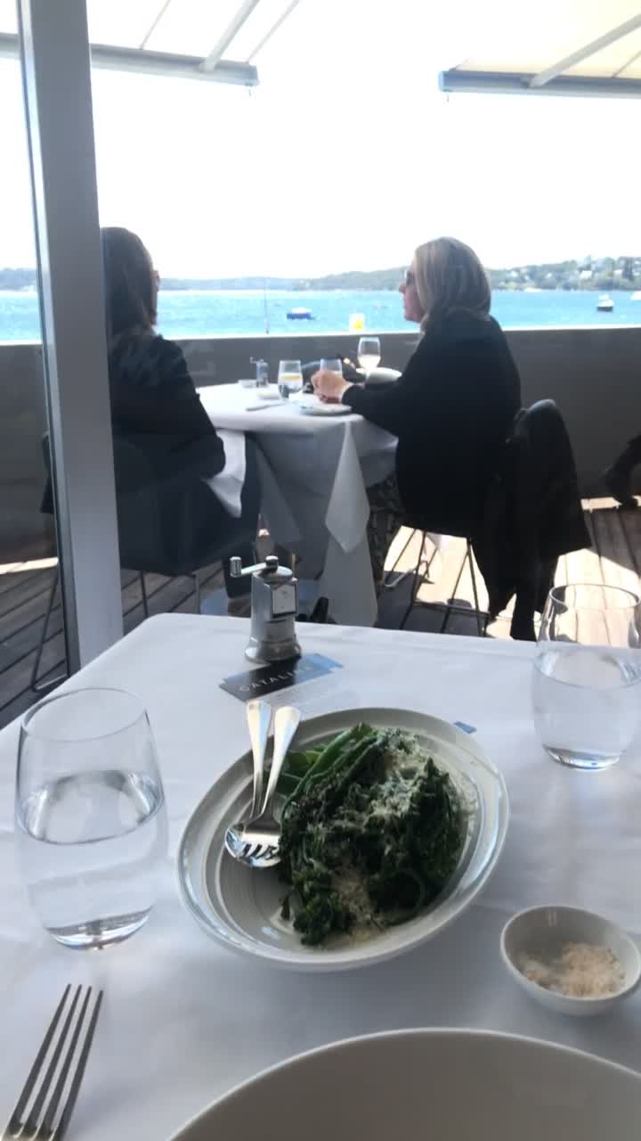 Video review of Catalina