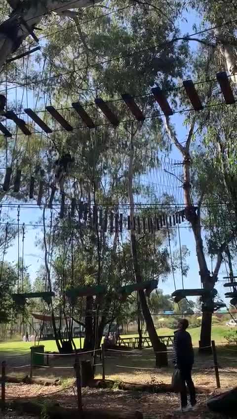 Acrobranch Centurion