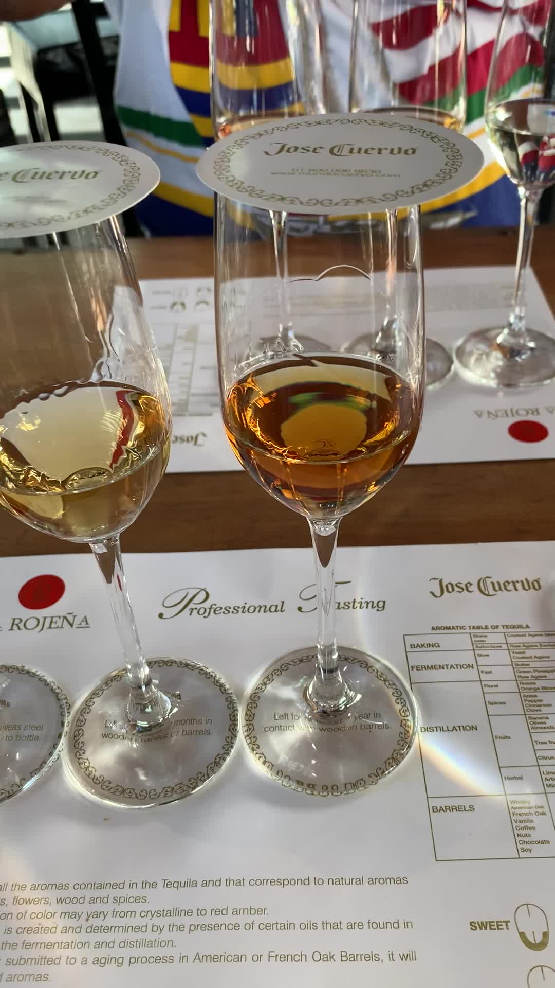 Jose cuervo tequila experience