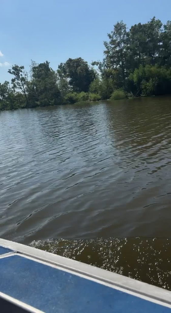 Louisiana Swamp Tours