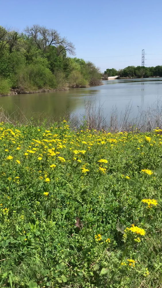 Spring Trail Park