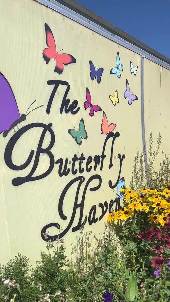 The Butterfly Haven
