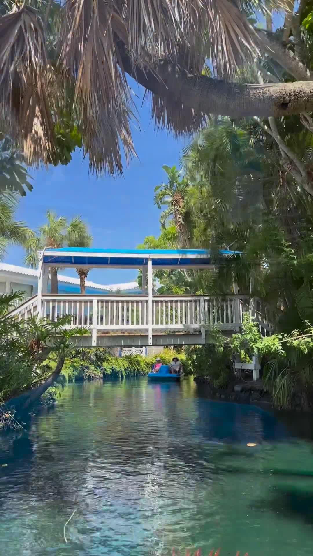 Video review of TradeWinds Beach