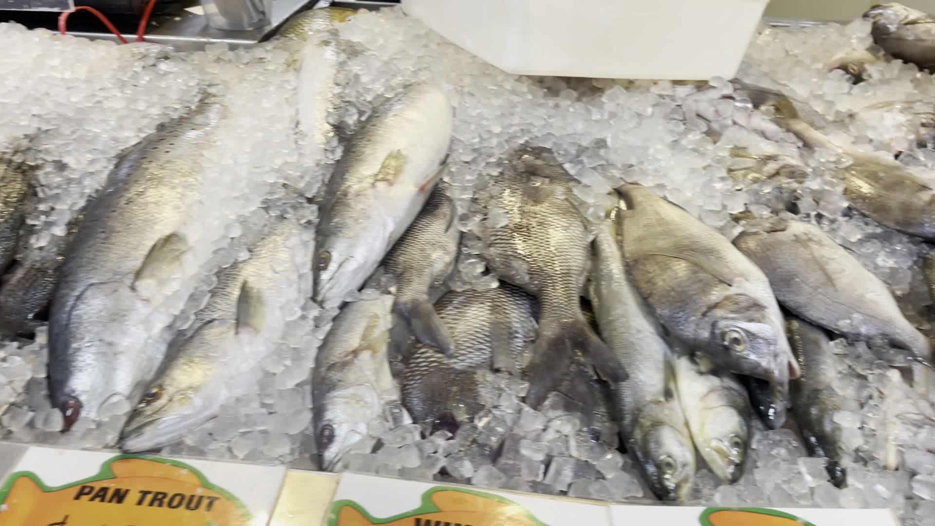 Video review of Capital Seafood Market