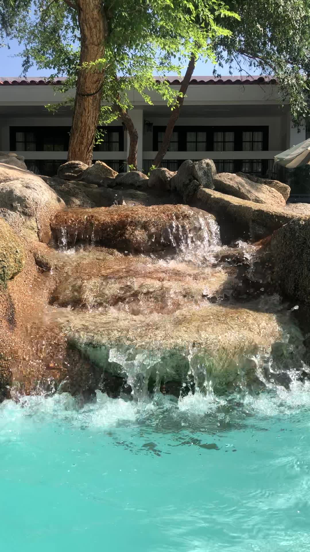 The Scott Resort