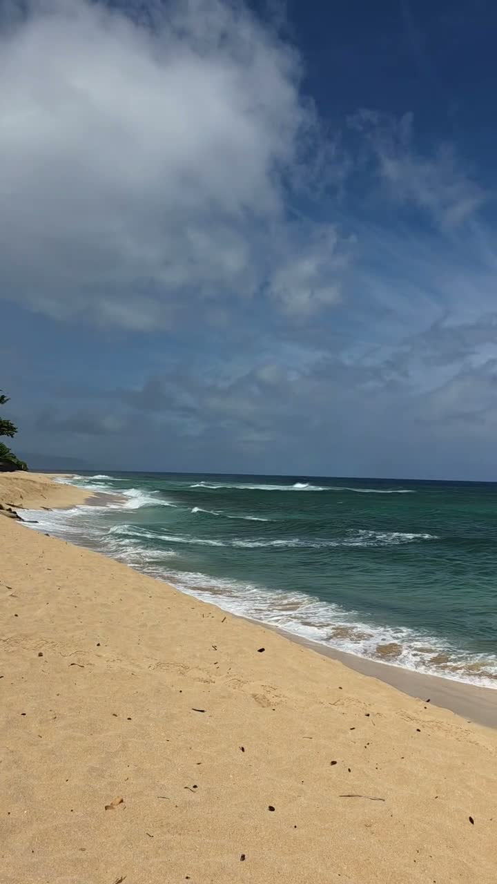Pipeline Smoke Shop Honolulu