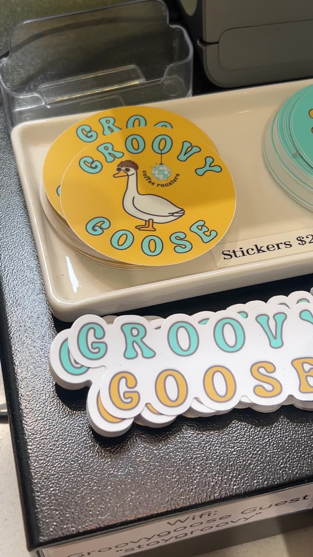 Groovy Goose