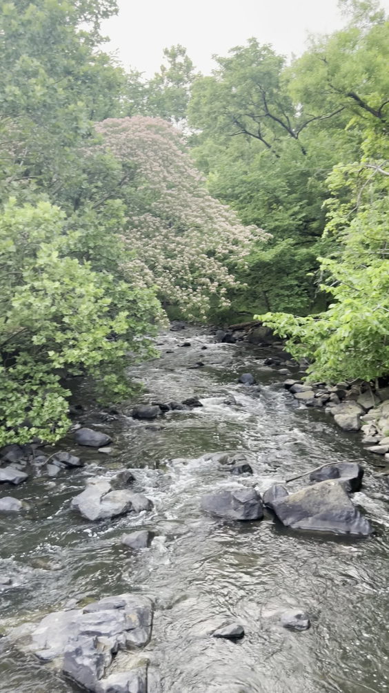Rockland Lake State Park