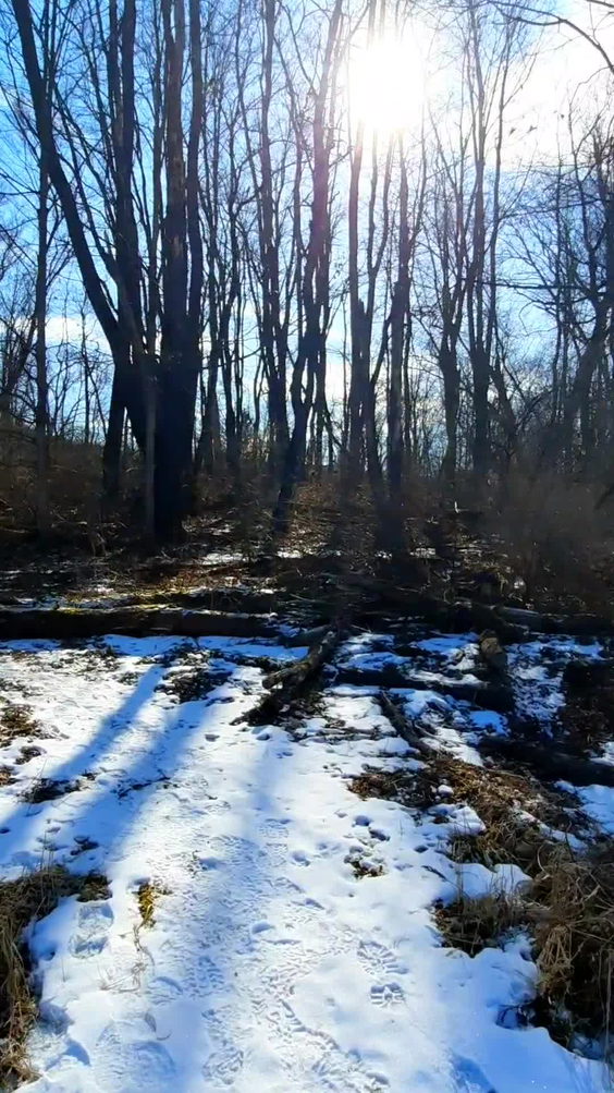Brick Pond
