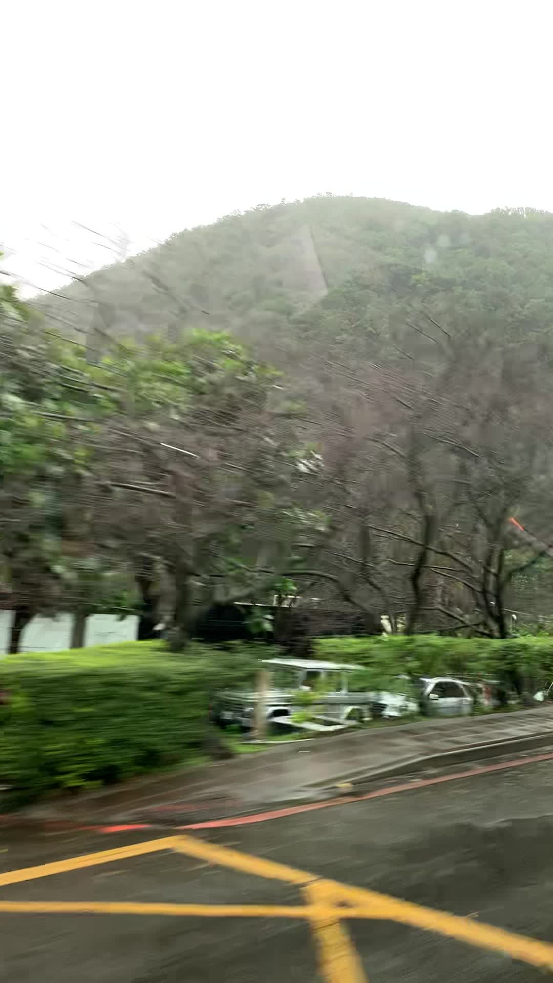 阳明山