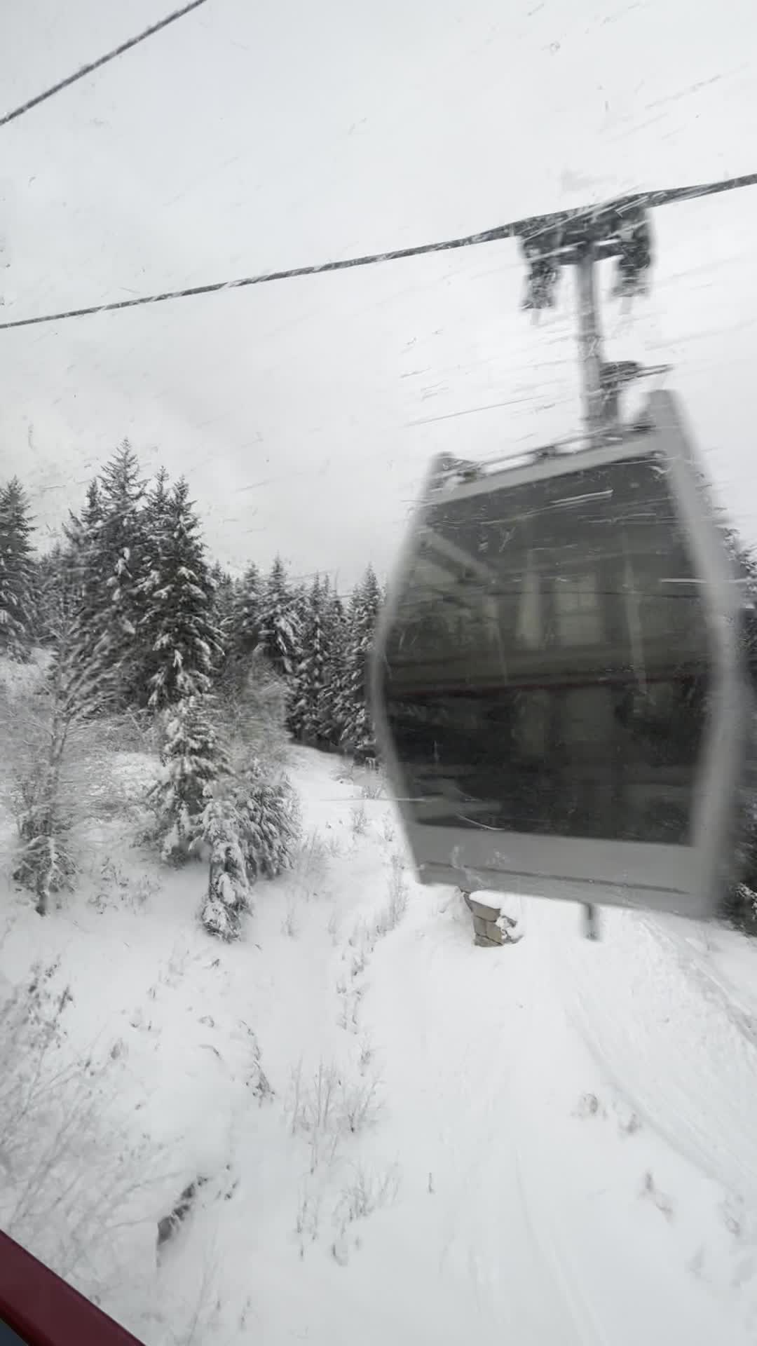 Whistler Village Gondola