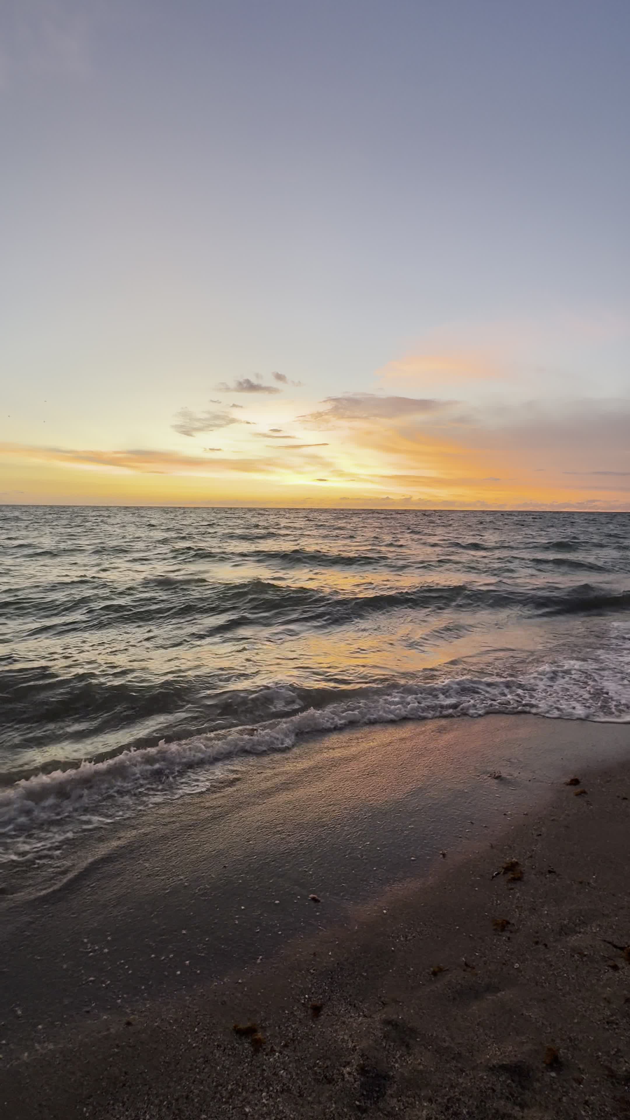 Sharky's On the Pier