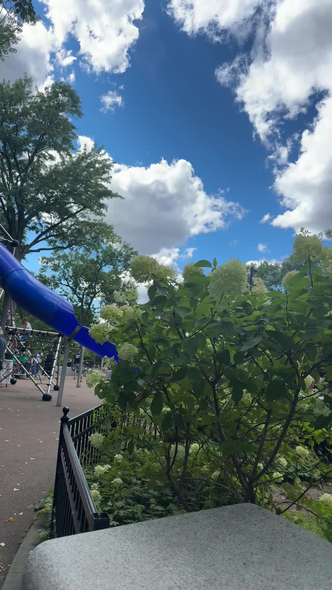 Video review of DCR Hatch Memorial Shell