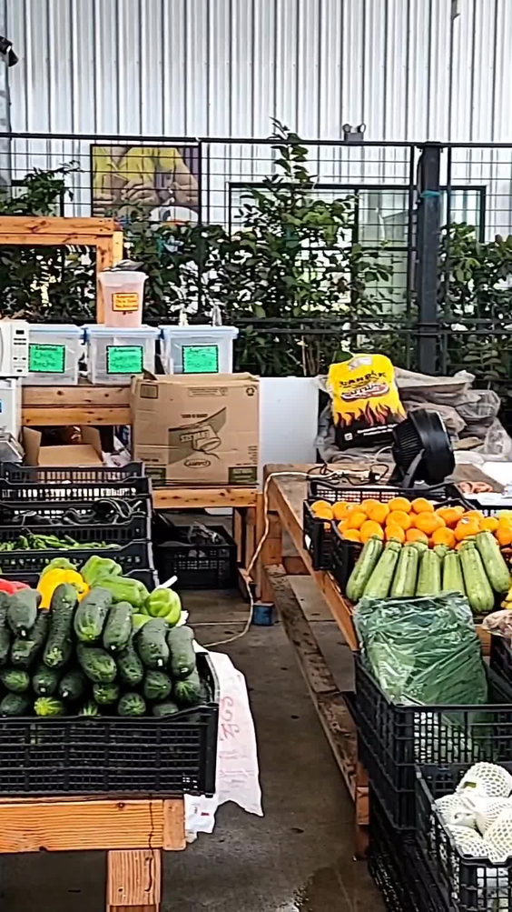 Houston Farmers Market