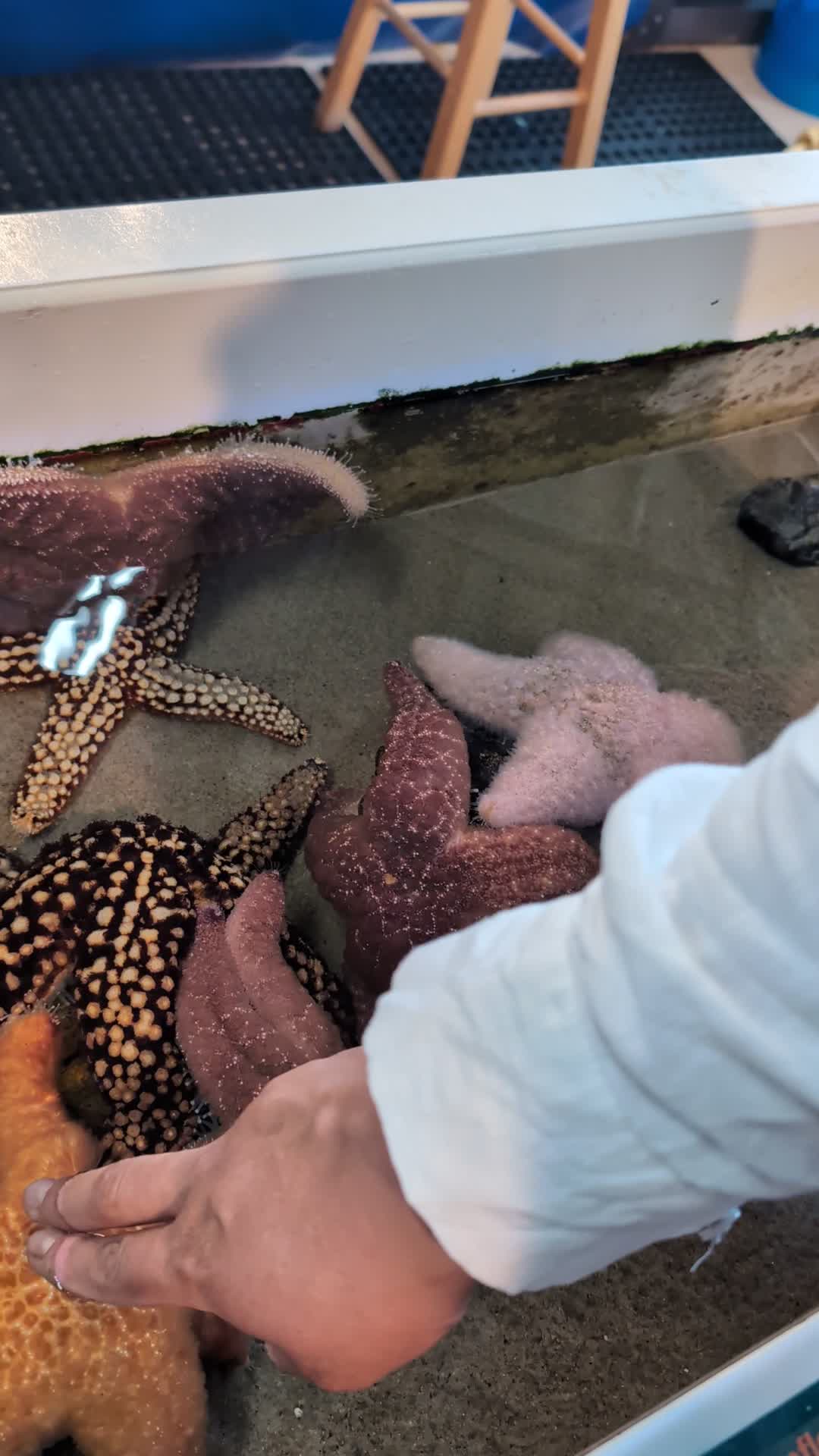 Aquarium of the Pacific