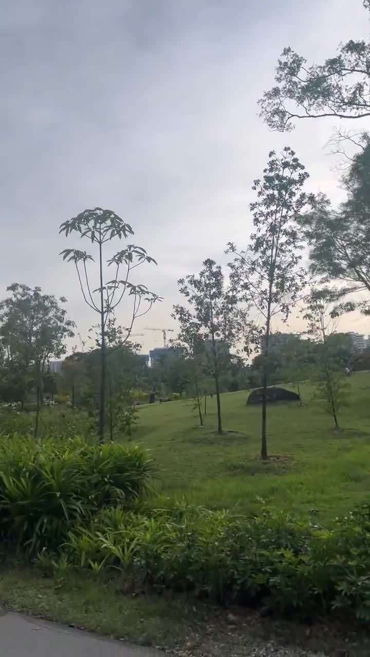 Video review of Chinese Garden