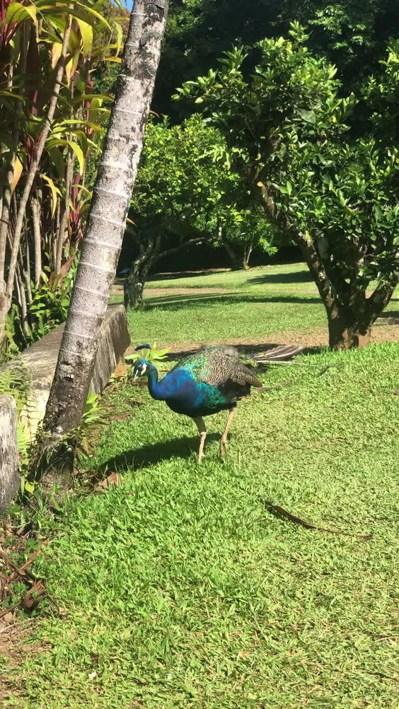 Garden of Eden Arboretum