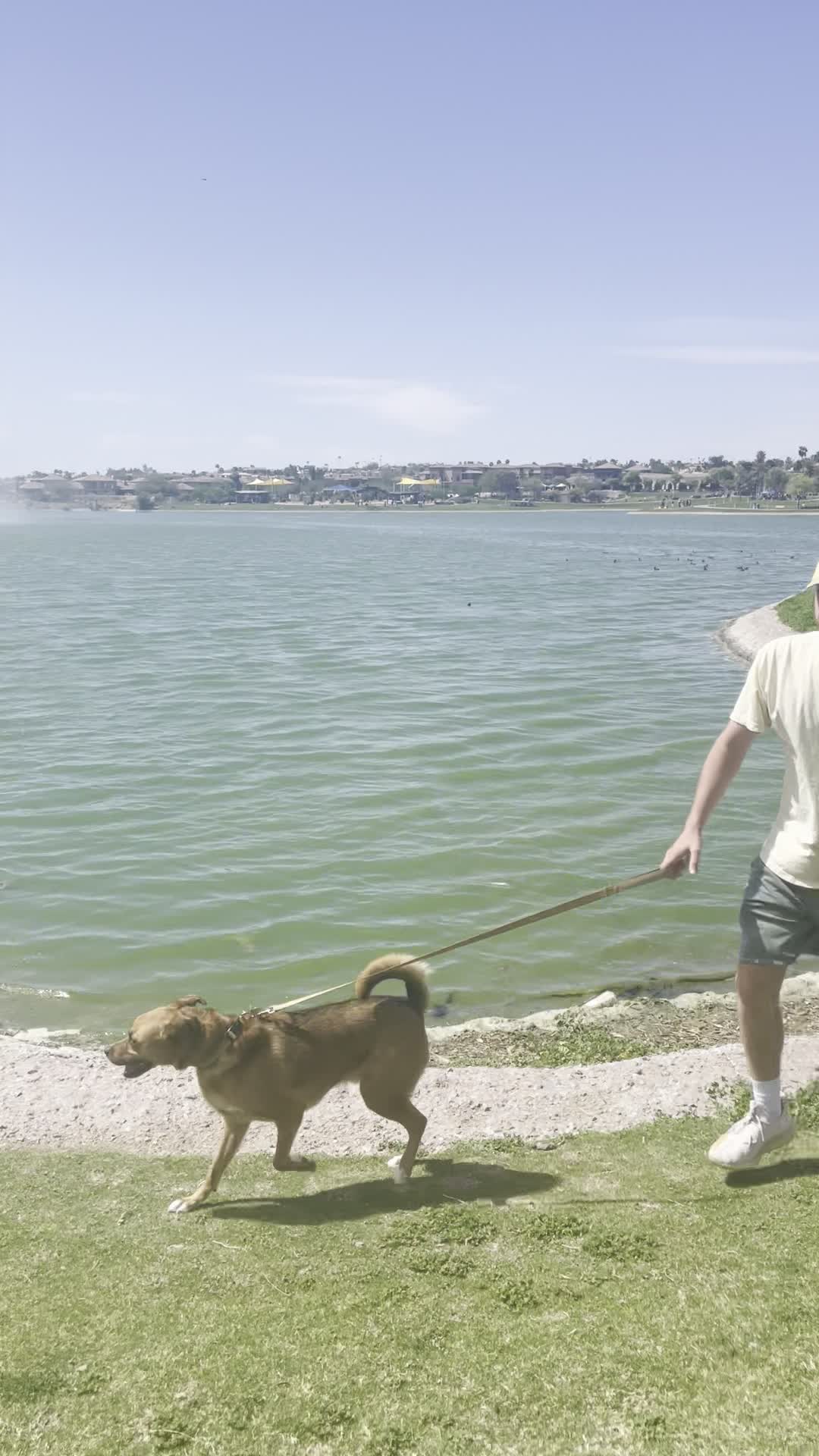 Video review of Fountain Park