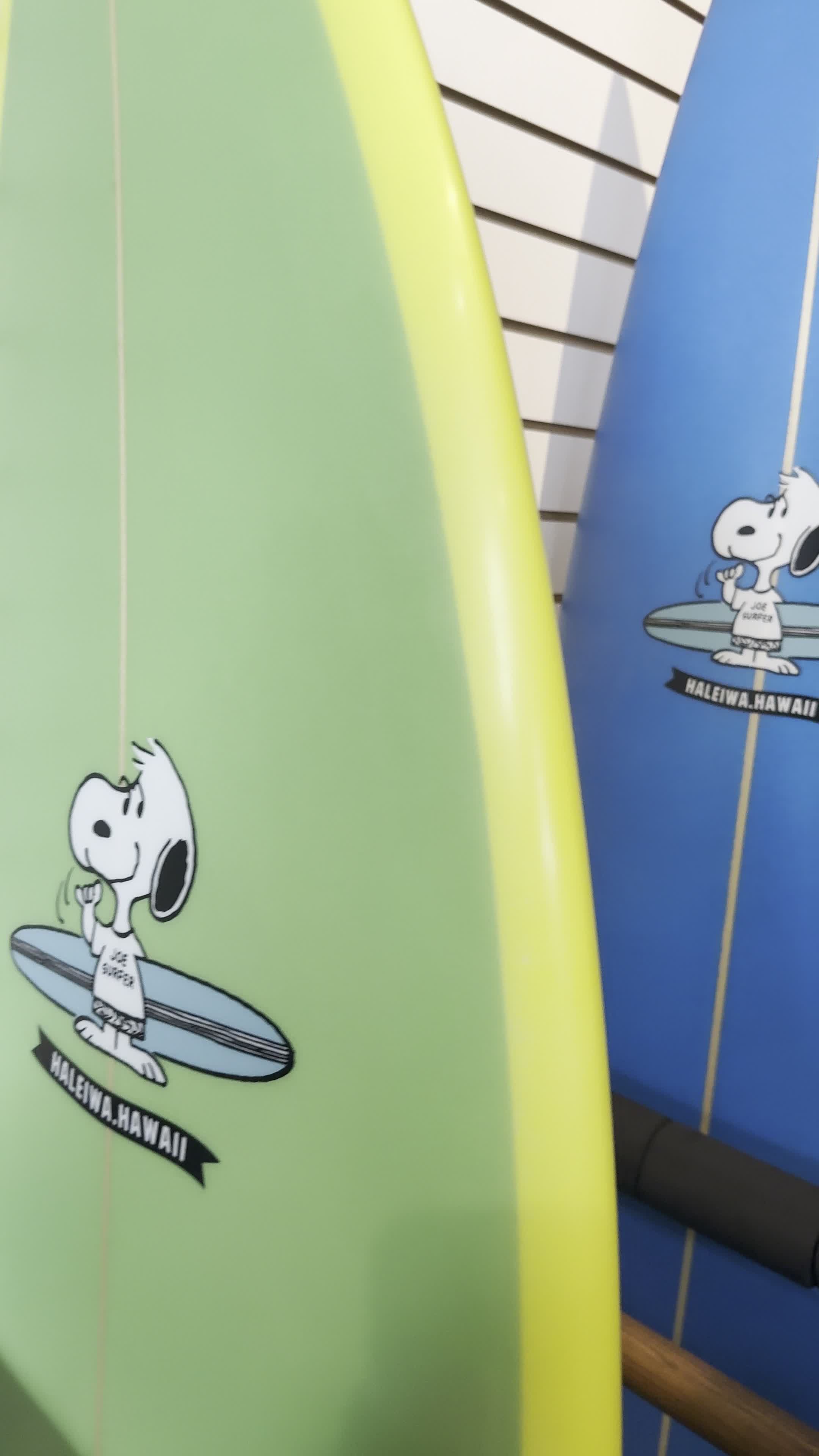 Snoopy's Surf Shop