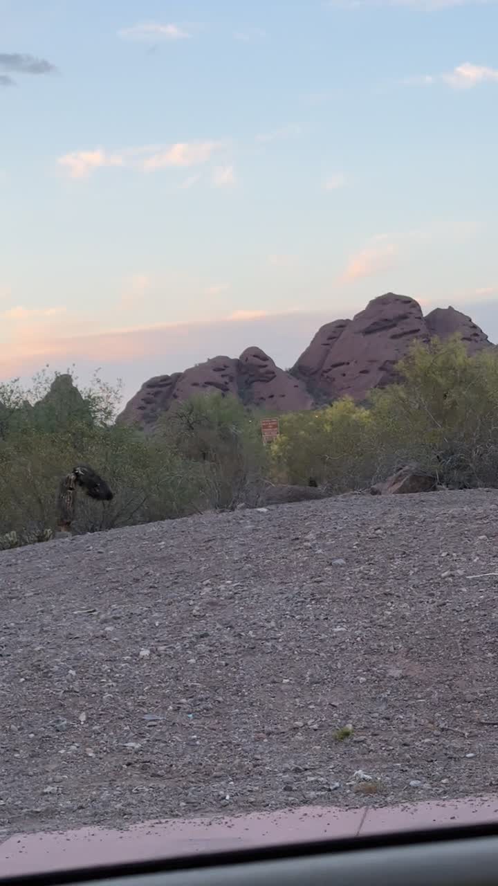 Video review of Papago Park