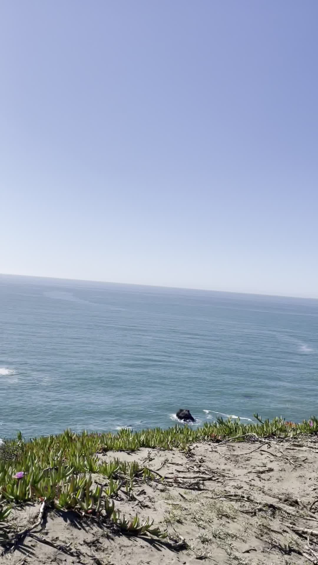 Video review of Surf Camp Pacifica