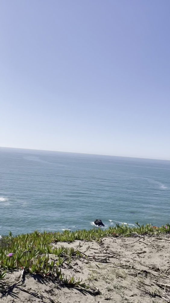 Surf Camp Pacifica