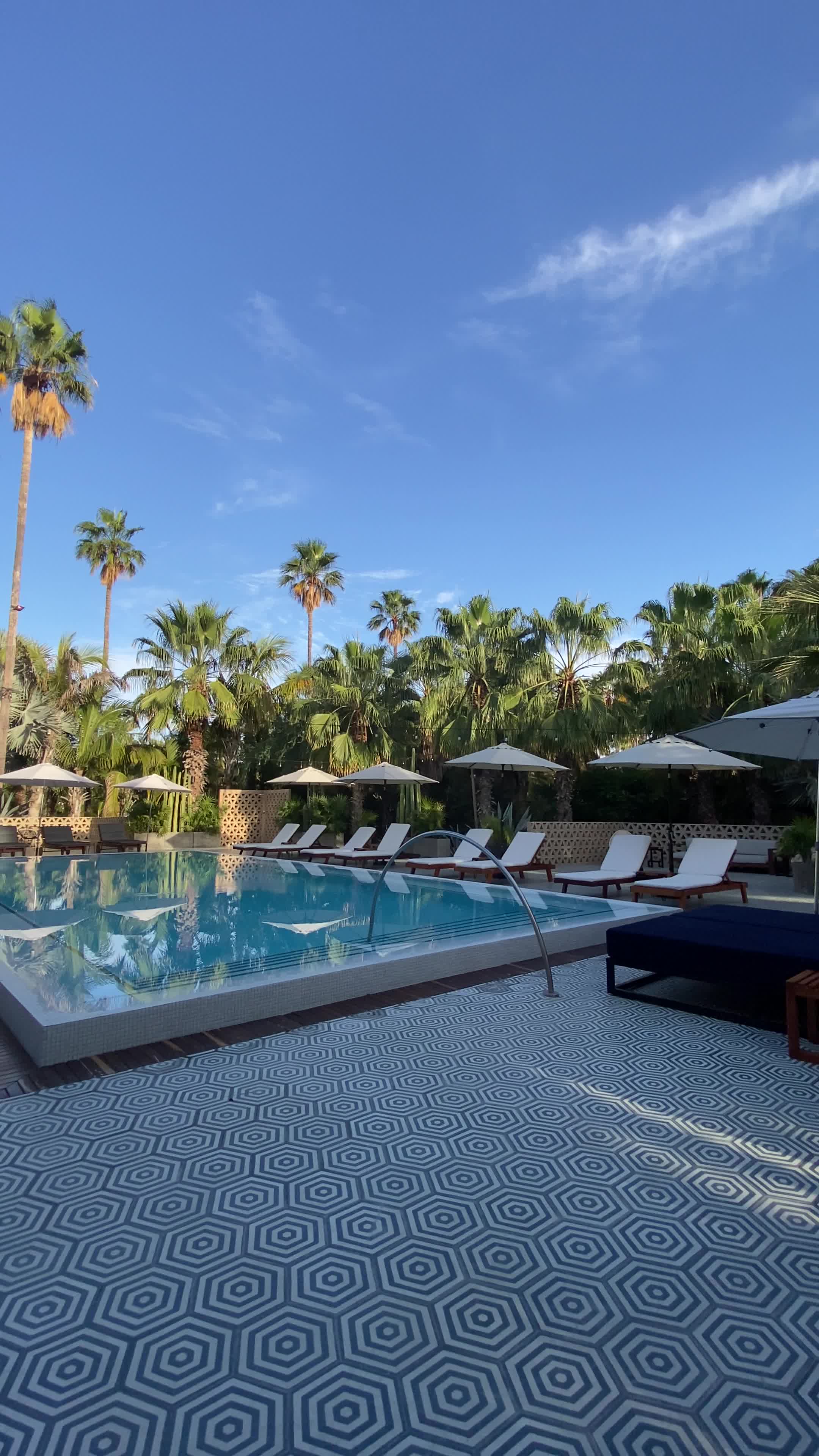 Las Guacamayas - Cabo San Lucas