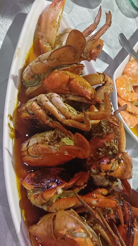 Dampa