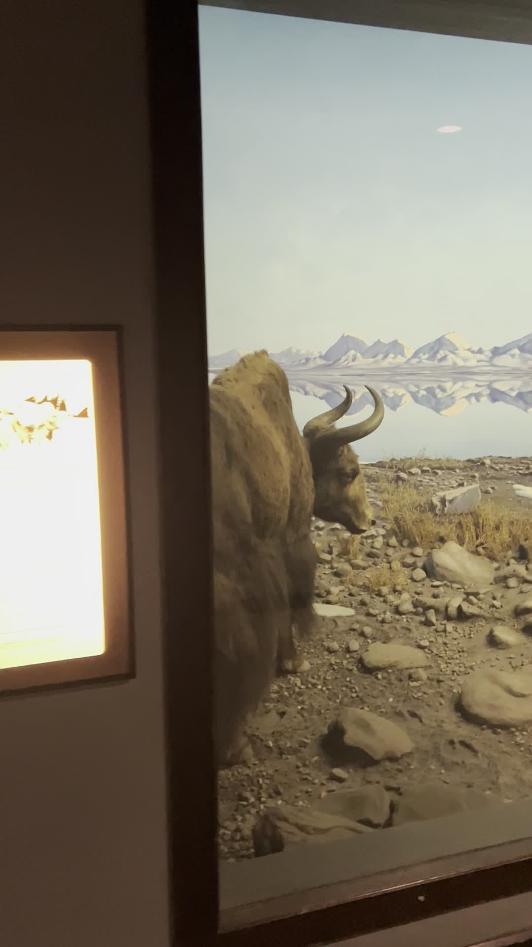 Video review of The Academy of Natural Sciences of Drexel University