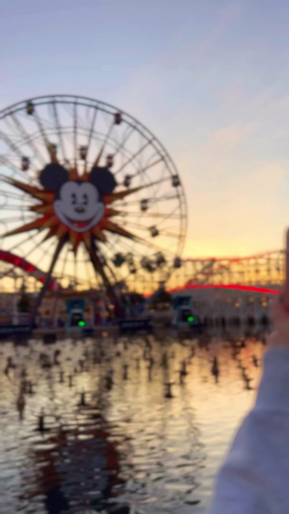 Disneyland Park